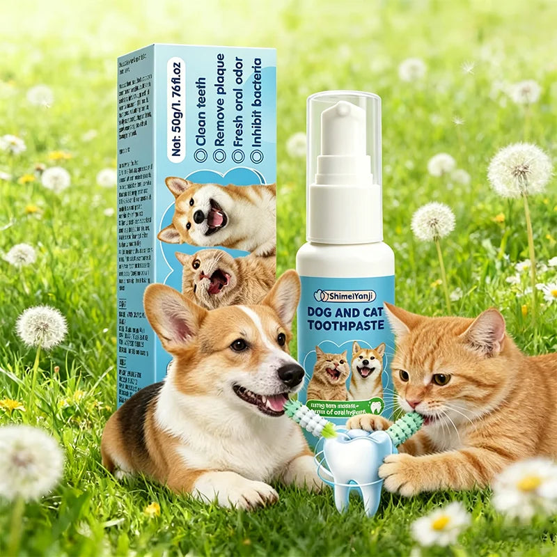 PetVibe™ Pro Hair & Lint Remover | Keep Your Home Fur-Free