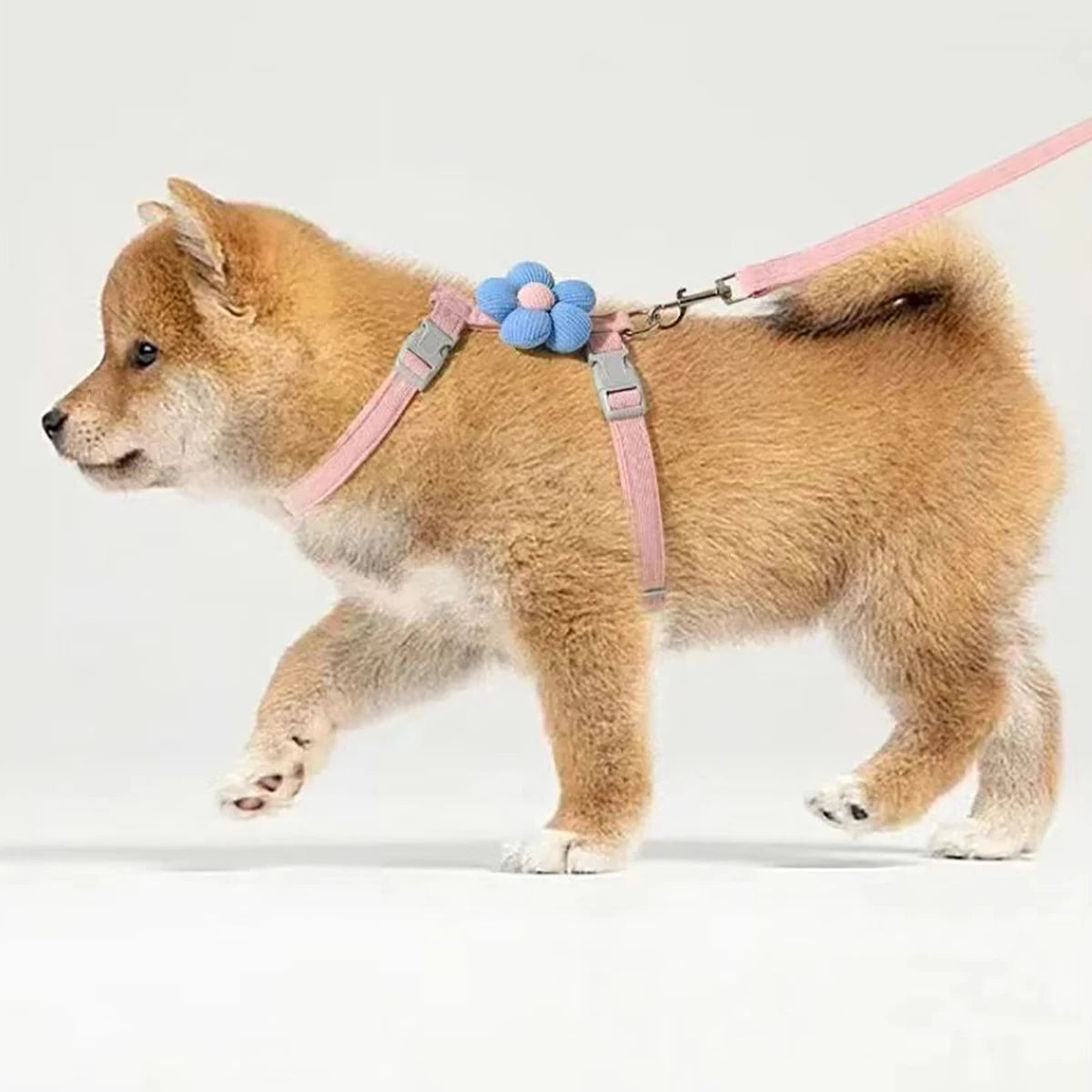 Cute Cat Harness and Leash Set – Adjustable Pet Vest for Small Dogs and Cats