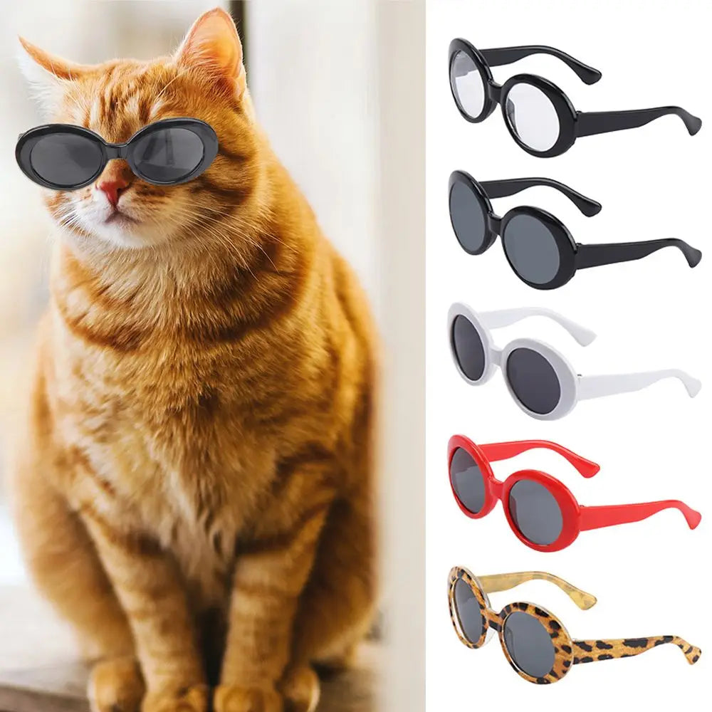 Cool Pet Sunglasses – Stylish Round Frame Glasses for Cats and Small Dogs