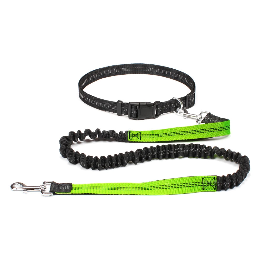Hand-Free Dog Leash – Adjustable Waist Belt for Running, Jogging, and Walking