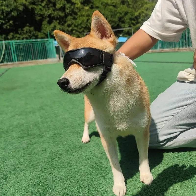 Pet Accessories Dog Outdoor UV Protection Sunglasses – Adjustable Goggles for Small/Medium Breed Dogs and Cats