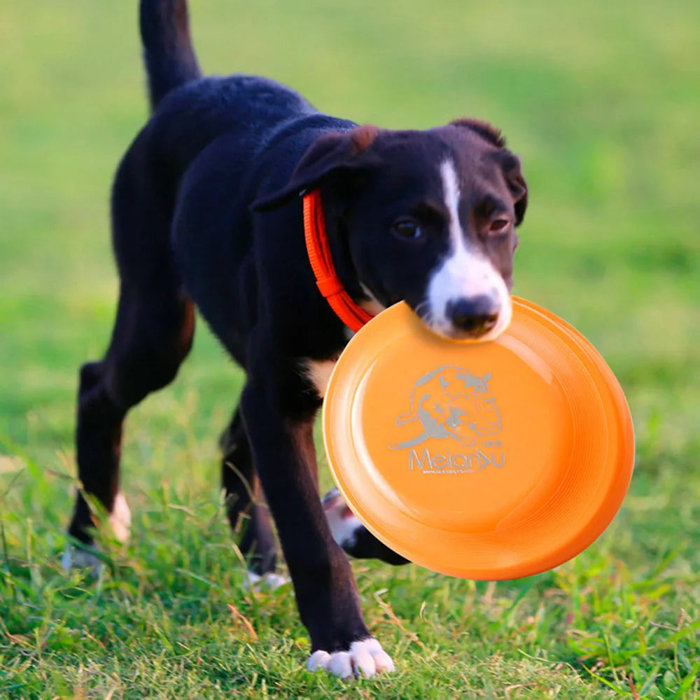 Dog Training Disc – Durable Pet Toy for Puppy & Adult Dog Training