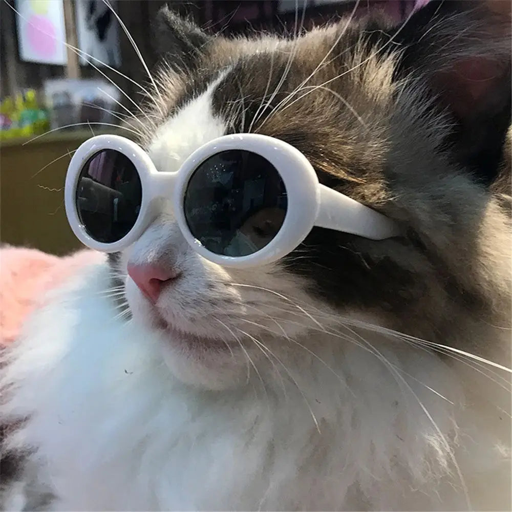 Cool Pet Sunglasses – Stylish Round Frame Glasses for Cats and Small Dogs