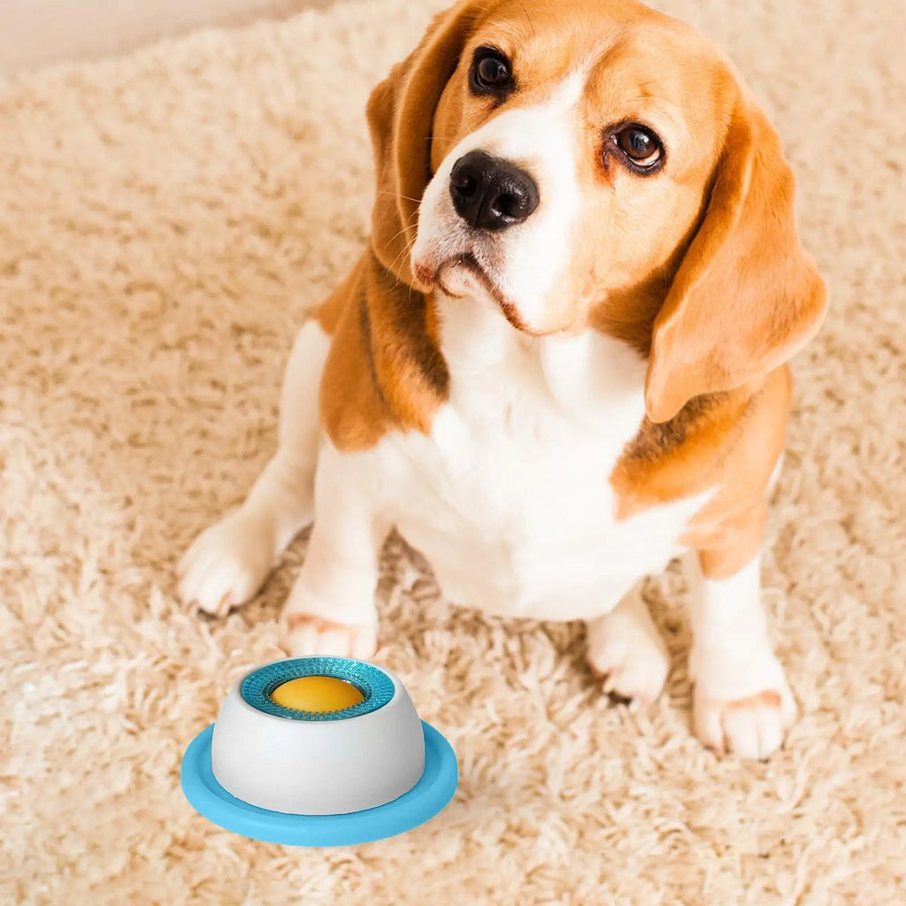 PetVibe™ Interactive Puzzle Feeder | Keep Your Puppy Engaged & Healthy