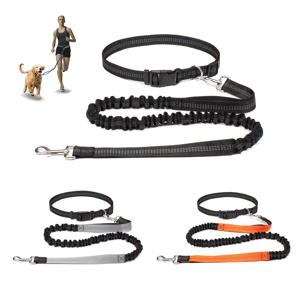 Hand-Free Dog Leash – Adjustable Waist Belt for Running, Jogging, and Walking