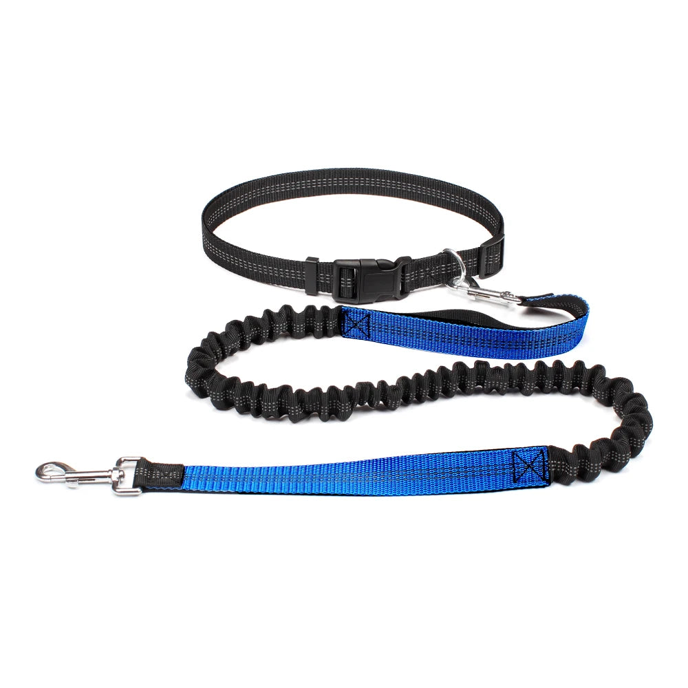 Hand-Free Dog Leash – Adjustable Waist Belt for Running, Jogging, and Walking