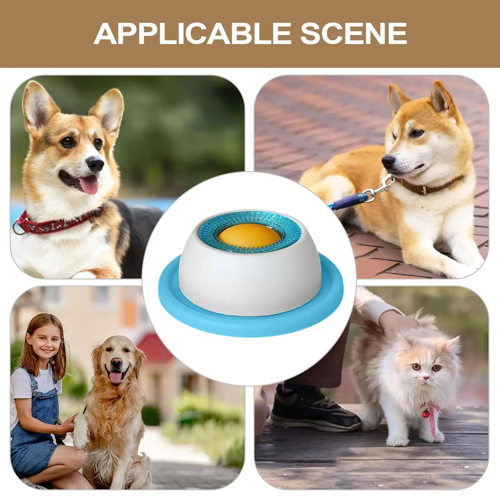 PetVibe™ Interactive Puzzle Feeder | Keep Your Puppy Engaged & Healthy