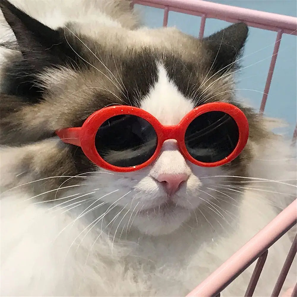 Cool Pet Sunglasses – Stylish Round Frame Glasses for Cats and Small Dogs
