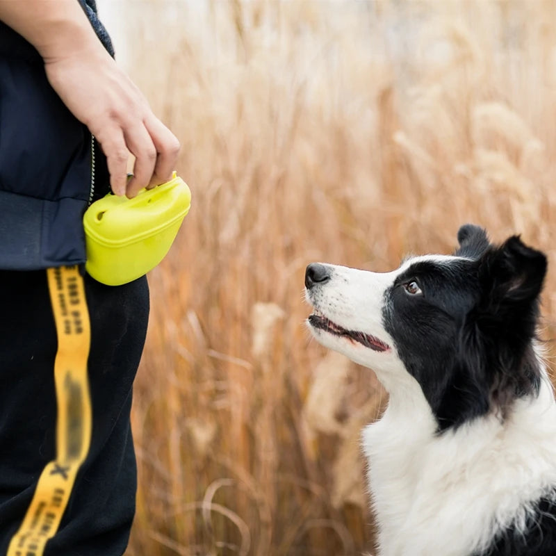Portable Dog Training Waist Bag – Treat & Snack Reward Pouch for Obedience & Agility