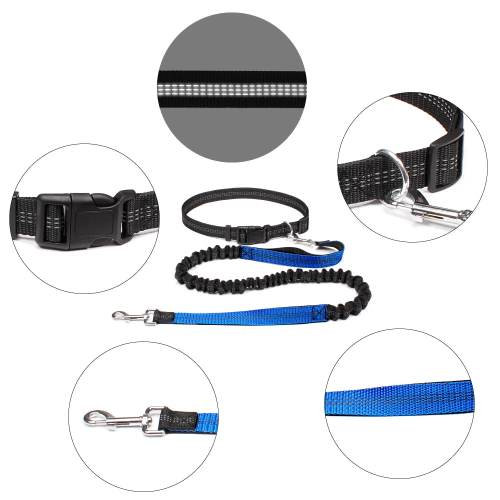 Hand-Free Dog Leash – Adjustable Waist Belt for Running, Jogging, and Walking