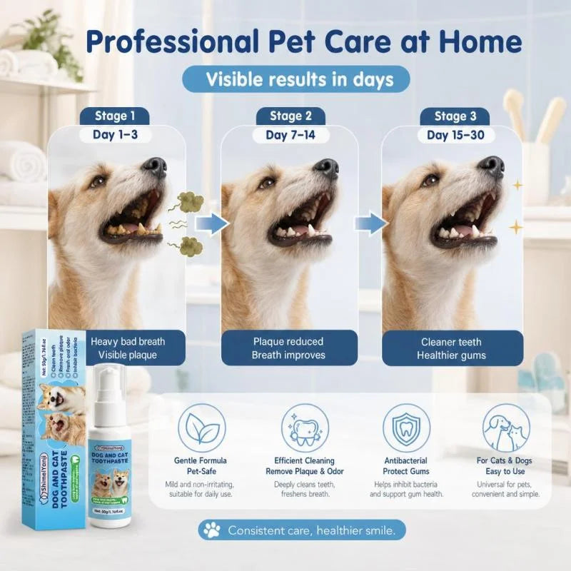 PetVibe™ Pro Hair & Lint Remover | Keep Your Home Fur-Free