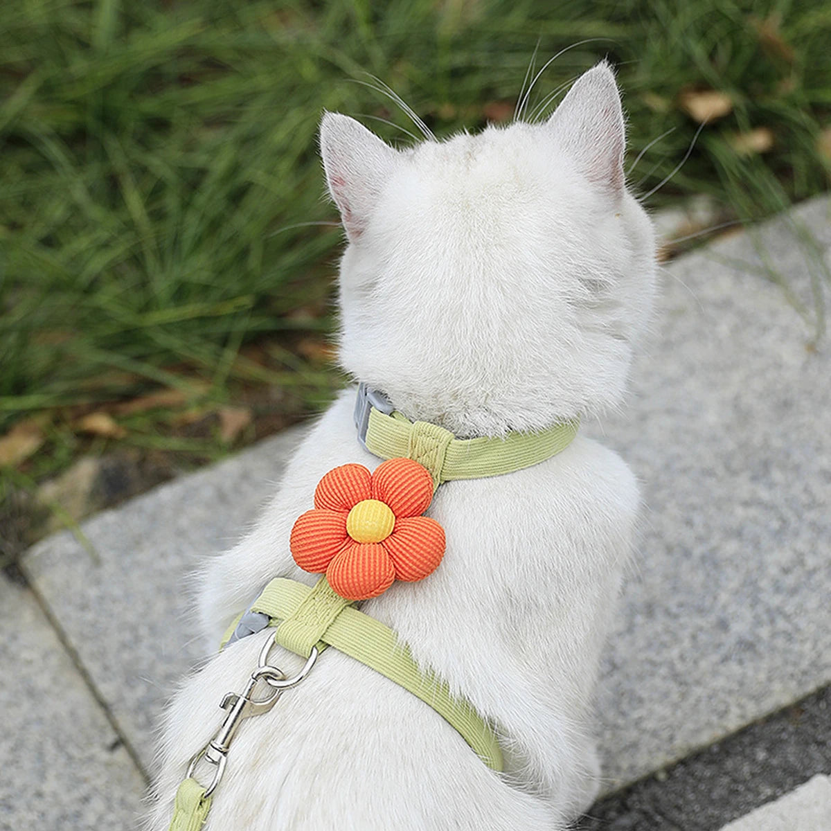 Cute Cat Harness and Leash Set – Adjustable Pet Vest for Small Dogs and Cats