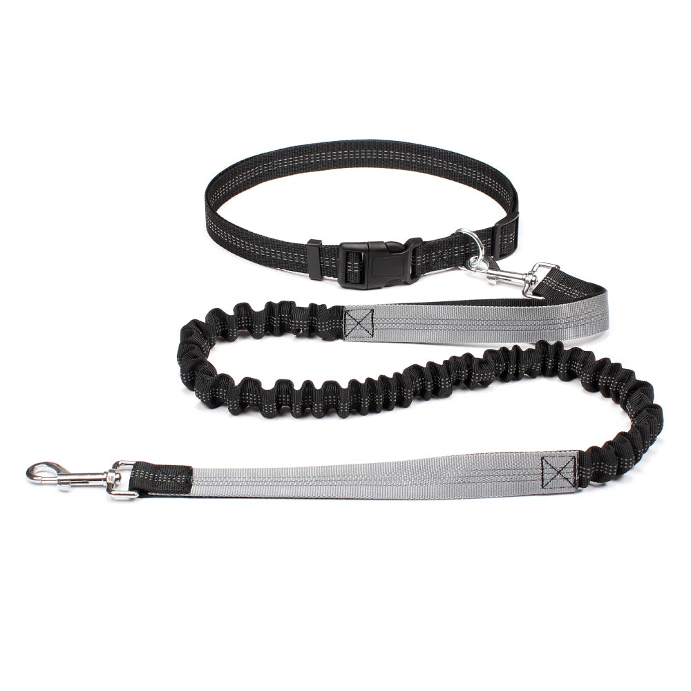 Hand-Free Dog Leash – Adjustable Waist Belt for Running, Jogging, and Walking