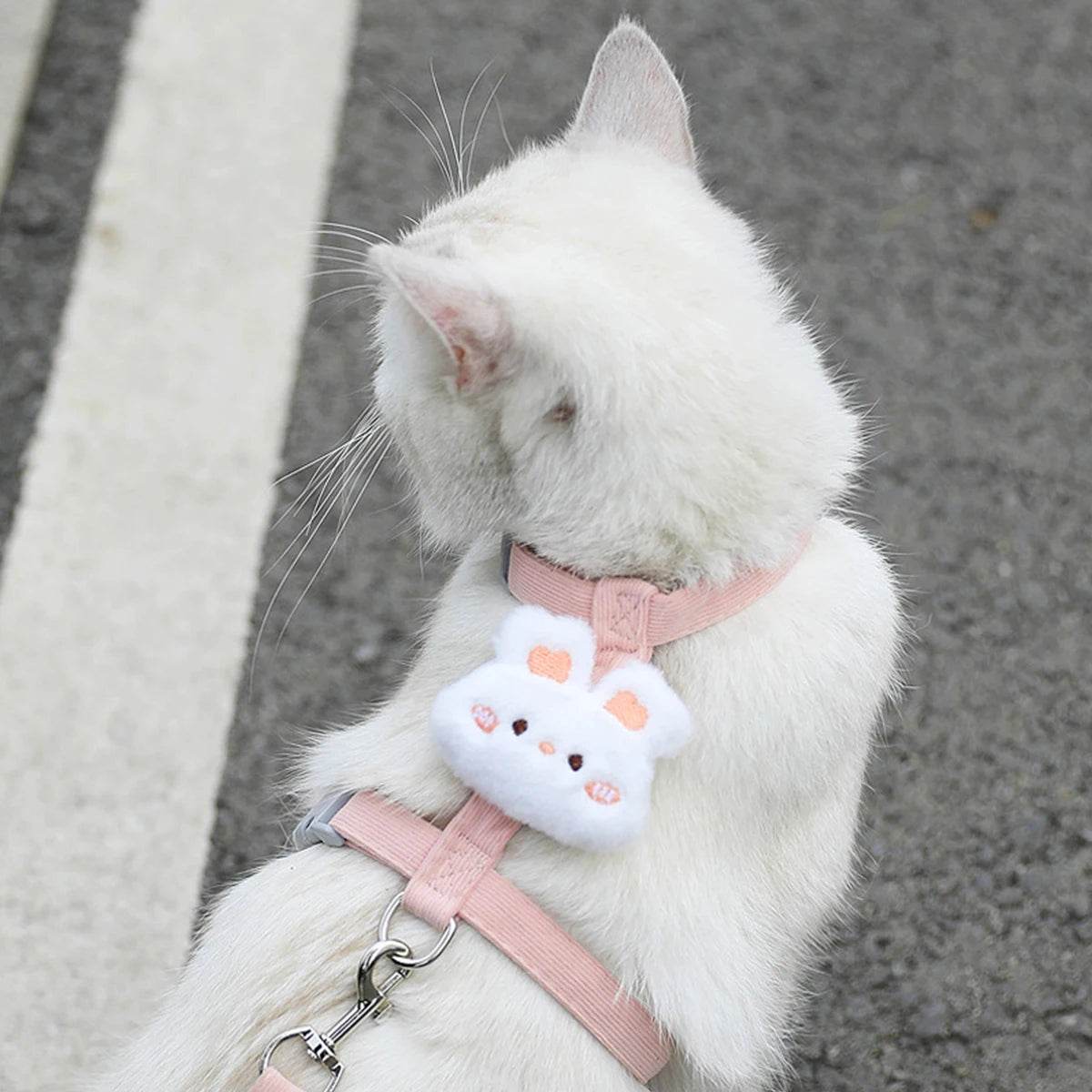 Cute Cat Harness and Leash Set – Adjustable Pet Vest for Small Dogs and Cats