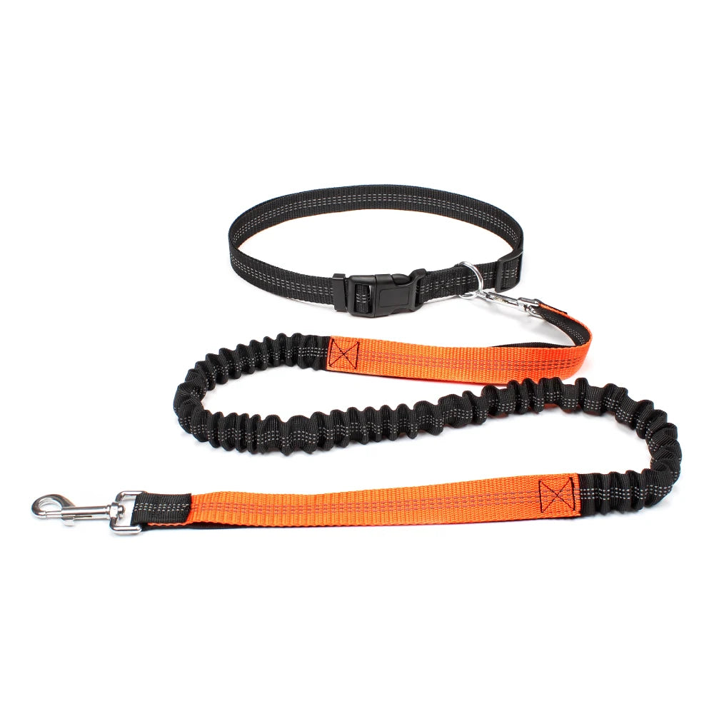 Hand-Free Dog Leash – Adjustable Waist Belt for Running, Jogging, and Walking