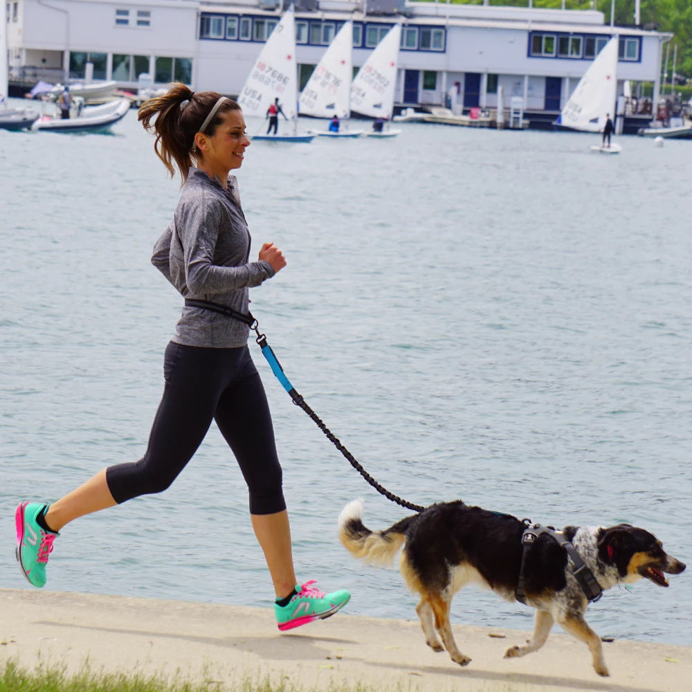 Hand-Free Dog Leash – Adjustable Waist Belt for Running, Jogging, and Walking