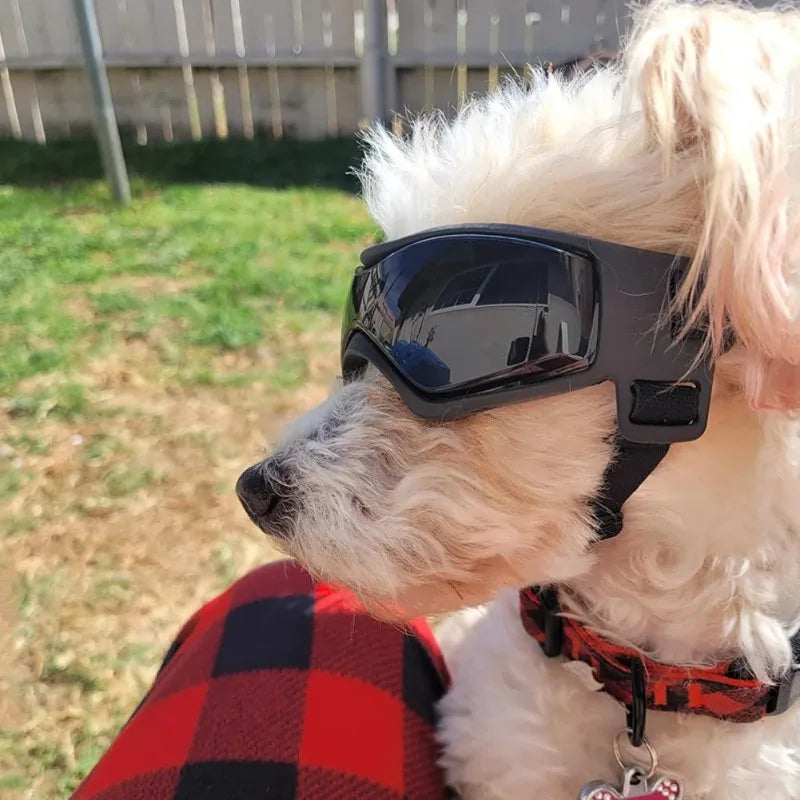 Pet Accessories Dog Outdoor UV Protection Sunglasses – Adjustable Goggles for Small/Medium Breed Dogs and Cats