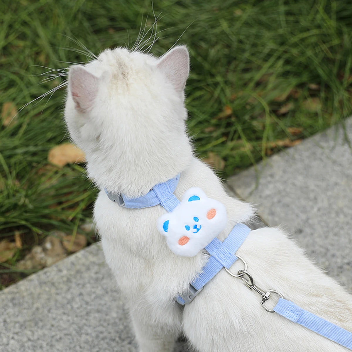Cute Cat Harness and Leash Set – Adjustable Pet Vest for Small Dogs and Cats