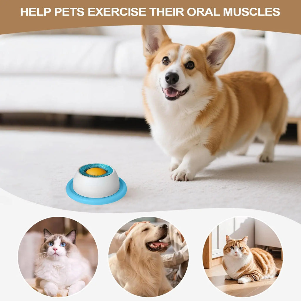 PetVibe™ Interactive Puzzle Feeder | Keep Your Puppy Engaged & Healthy