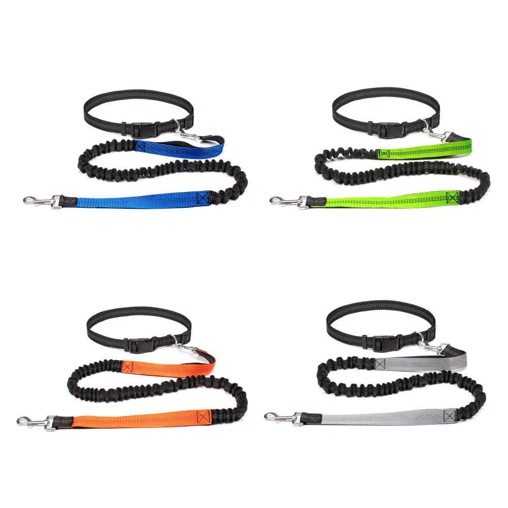Hand-Free Dog Leash – Adjustable Waist Belt for Running, Jogging, and Walking