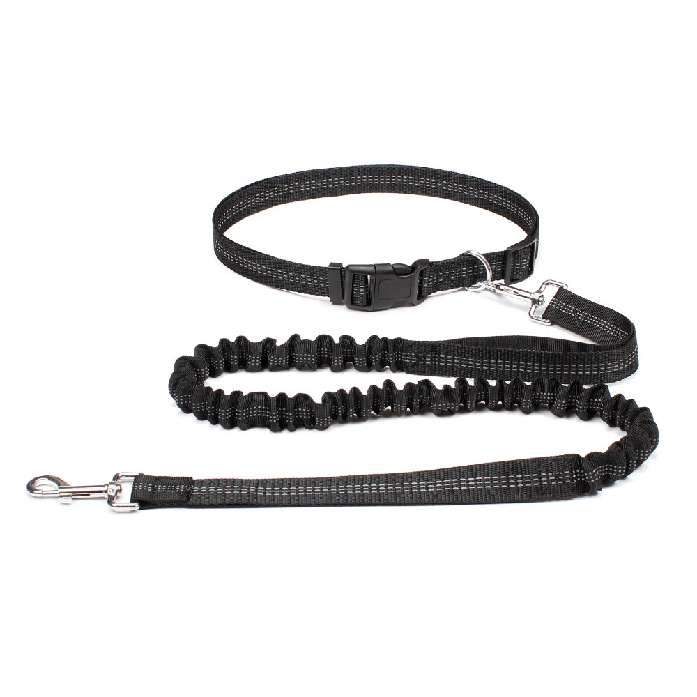 Hand-Free Dog Leash – Adjustable Waist Belt for Running, Jogging, and Walking