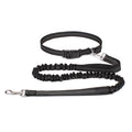 Hand-Free Dog Leash – Adjustable Waist Belt for Running, Jogging, and Walking