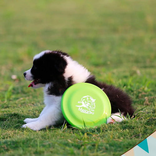 Dog Training Disc – Durable Pet Toy for Puppy & Adult Dog Training