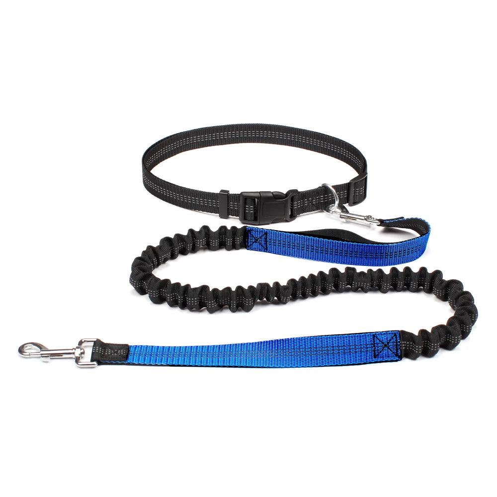 Hand-Free Dog Leash – Adjustable Waist Belt for Running, Jogging, and Walking